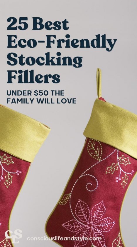 25 Best Eco-Friendly Stocking Fillers Under $50 the Family Will Love - Conscious Life and Style