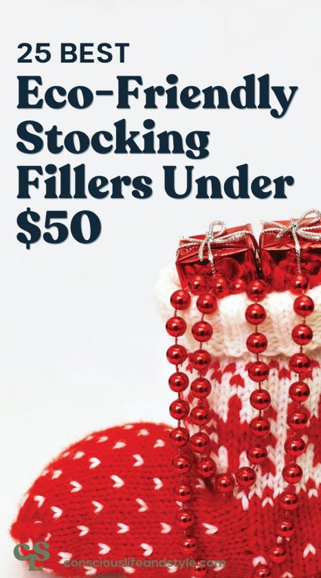 25 Best Eco-Friendly Stocking Fillers Under $50 - Conscious Life and Style