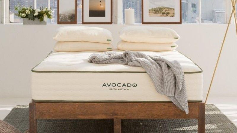 Wooden and sustainable bed frame from Avocado Mattress