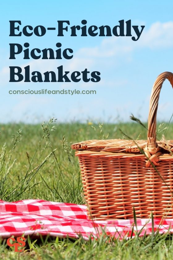 Eco-Friendly Picnic Blankets - Conscious Life and Style