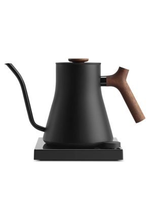 black non-toxic electric tea kettle