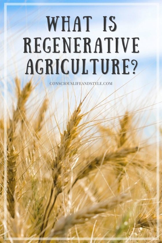 What is Regenerative Agriculture - Conscious Life and Style