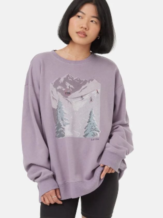 eco-friendly purple sweatshirt from tentree