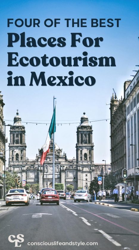 The 4 Best Places for Ecotourism in Mexico: What To Do In Each Region - Conscious Life and Style