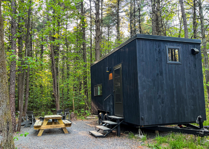 Eco cabin in the woods - eco friendly accommodations guide